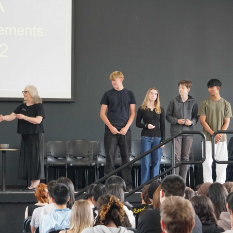 2025 NCEA L1 & 2 merit and excellence 