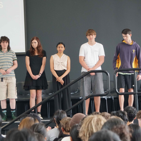 2025 NCEA L1 & 2 merit and excellence 