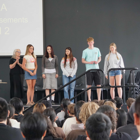 2025 NCEA L1 & 2 merit and excellence 