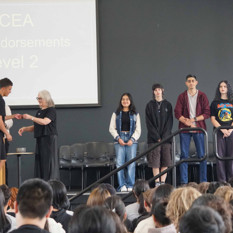 2025 NCEA L1 & 2 merit and excellence 