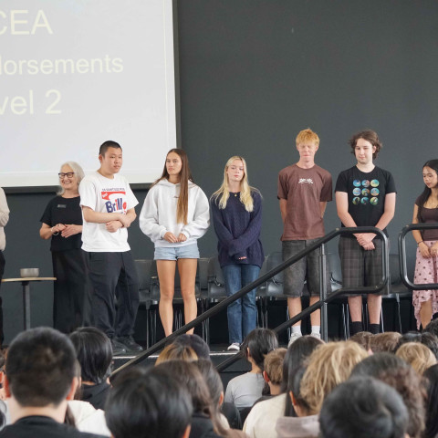 2025 NCEA L1 & 2 merit and excellence 