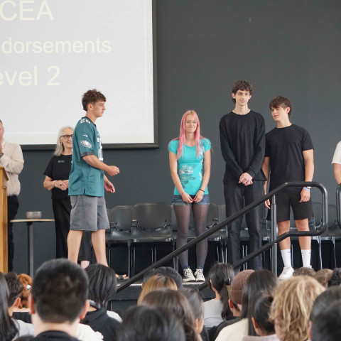 2025 NCEA L1 & 2 merit and excellence 