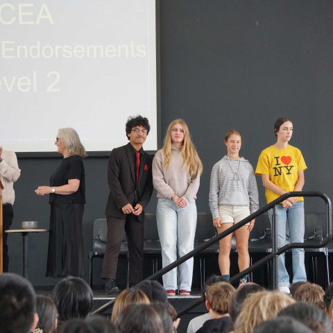 2025 NCEA L1 & 2 merit and excellence 