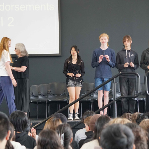 2025 NCEA L1 & 2 merit and excellence 