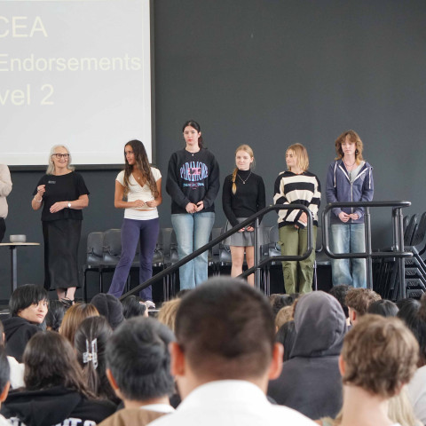 2025 NCEA L1 & 2 merit and excellence 