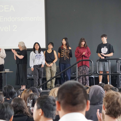 2025 NCEA L1 & 2 merit and excellence 