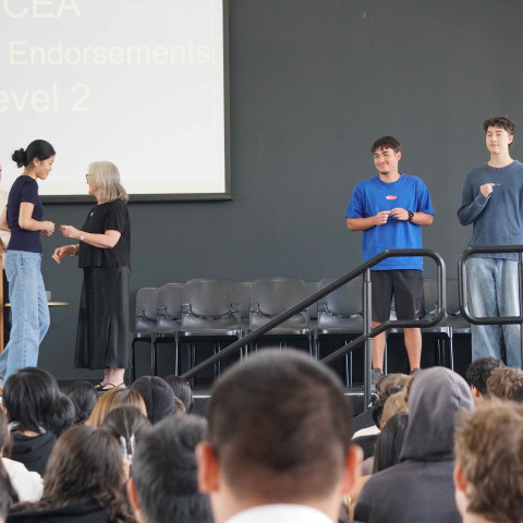 2025 NCEA L1 & 2 merit and excellence 