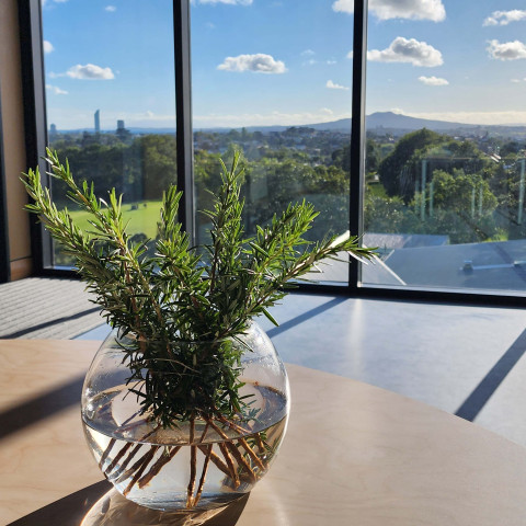 2026 T1 wk 00 opening of new building 