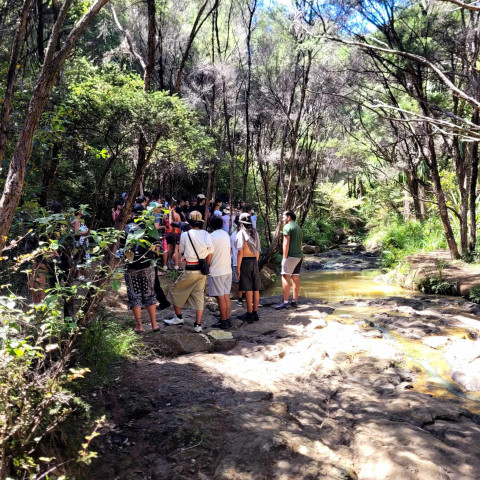 2026 T1 wk 06 marae noho