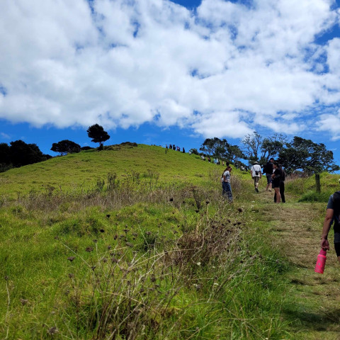 2026 T1 wk 06 marae noho
