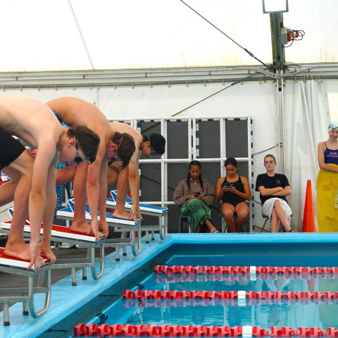 2026 swimming sports