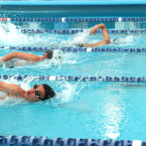 2026 swimming sports