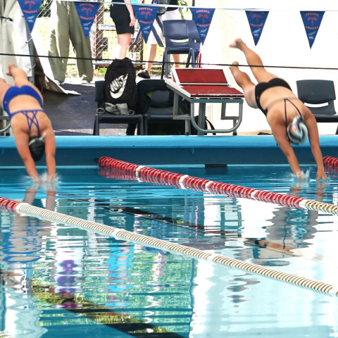 2026 swimming sports