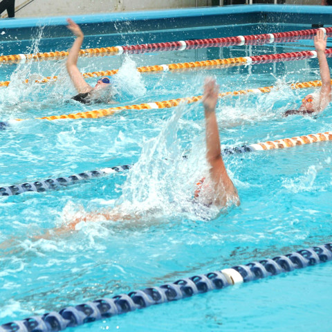 2026 swimming sports
