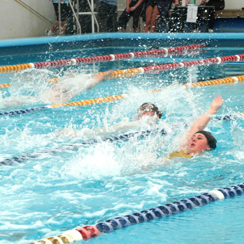 2026 swimming sports