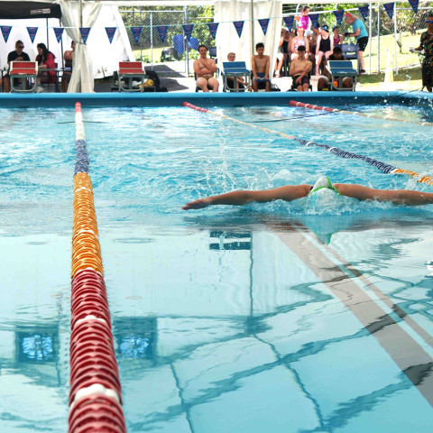 2026 swimming sports