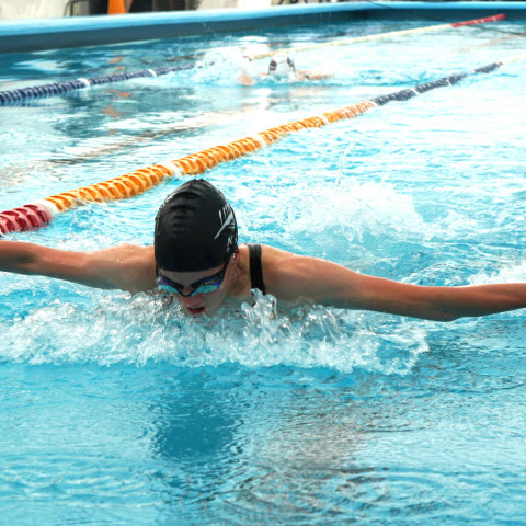 2026 swimming sports