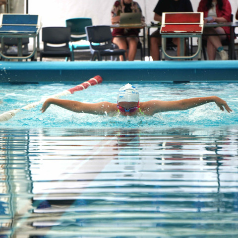 2026 swimming sports