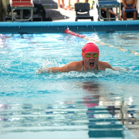 2026 swimming sports