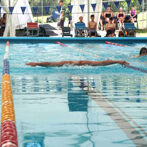 2026 swimming sports