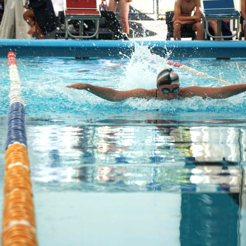 2026 swimming sports