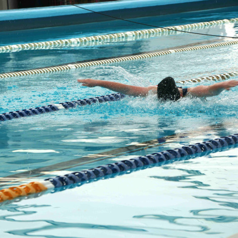 2026 swimming sports