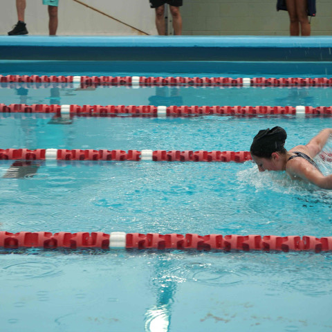 2026 swimming sports