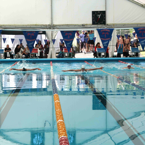 2026 swimming sports