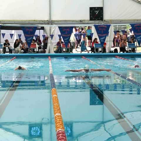 2026 swimming sports