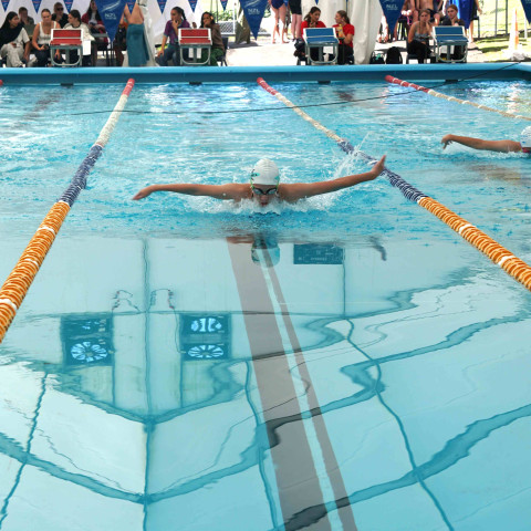 2026 swimming sports