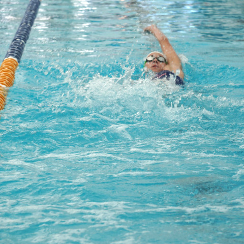 2026 swimming sports