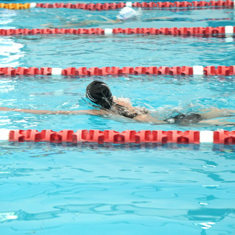 2026 swimming sports