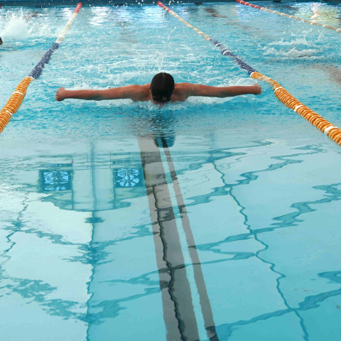 2026 swimming sports