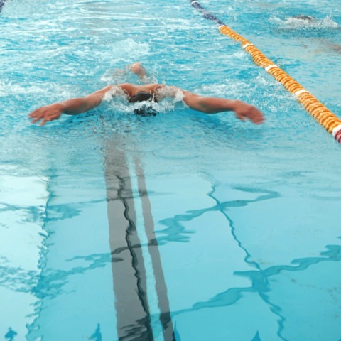 2026 swimming sports