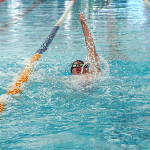 2026 swimming sports