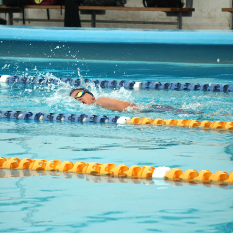 2026 swimming sports