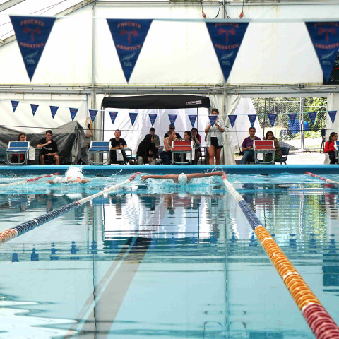 2026 swimming sports