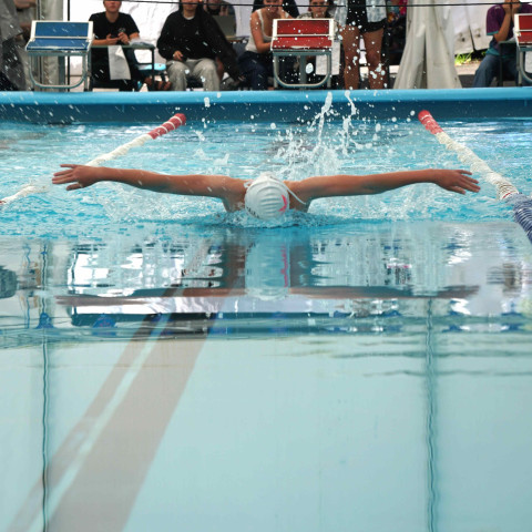 2026 swimming sports