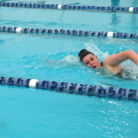 2026 swimming sports