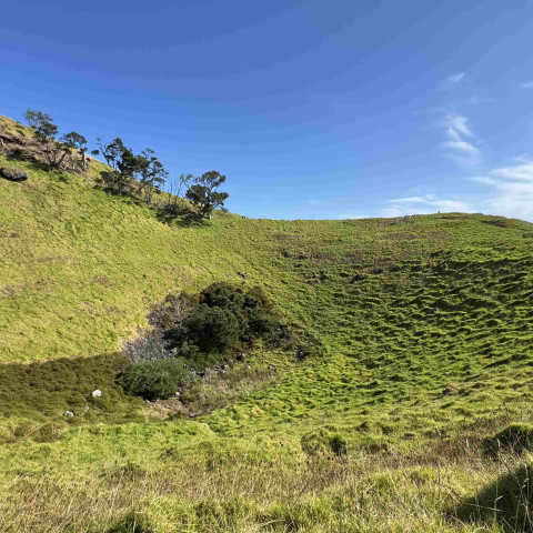 2026 T1 wk 07 11GEO in mangere