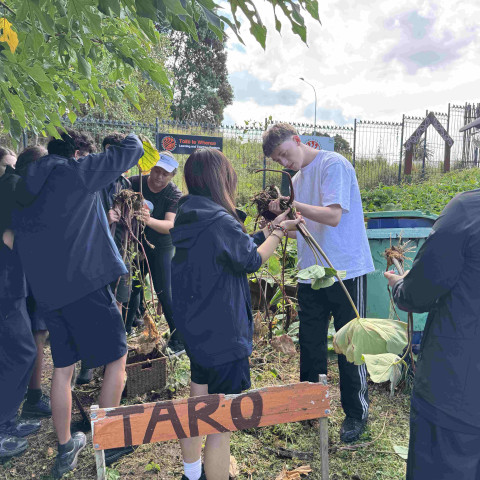 2026 T1 wk 07 11GEO in mangere