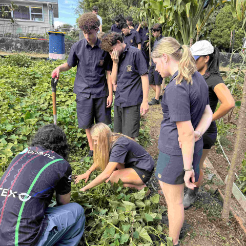 2026 T1 wk 07 11GEO in mangere