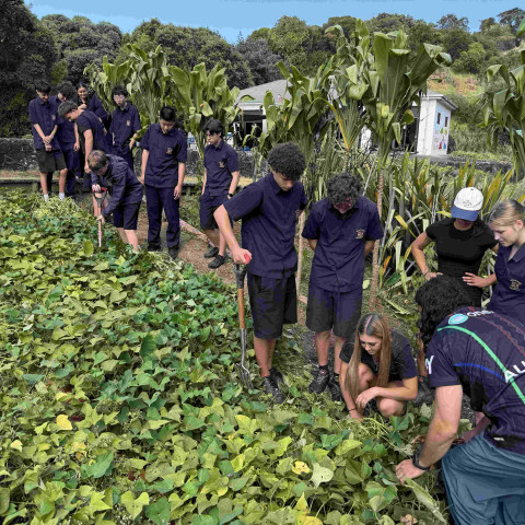 2026 T1 wk 07 11GEO in mangere