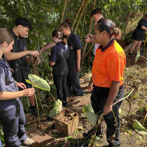 2026 T1 wk 07 11GEO in mangere