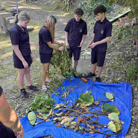 2026 T1 wk 07 11GEO in mangere