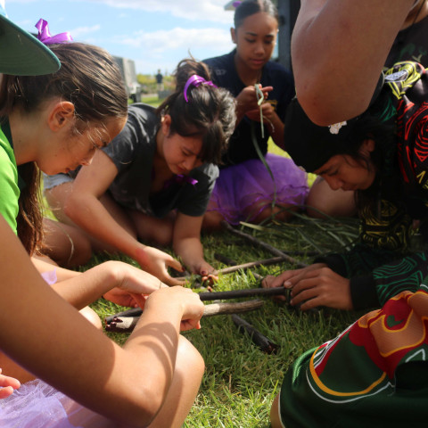 2026 T1 wk 06 marae noho