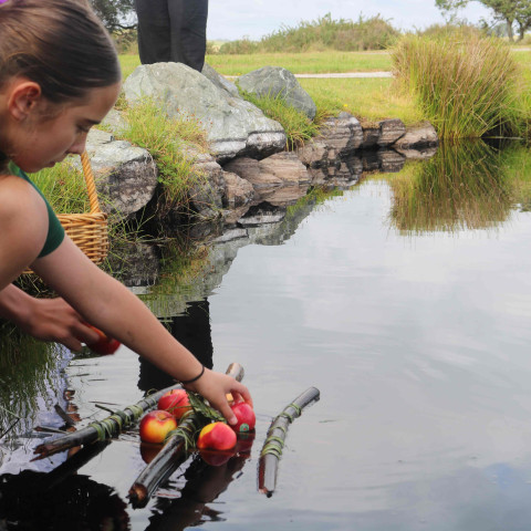 2026 T1 wk 06 marae noho