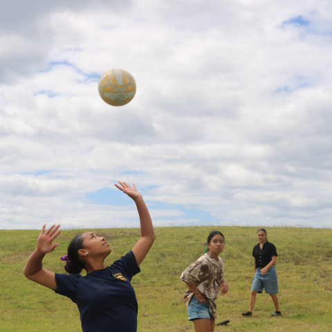 2026 T1 wk 06 marae noho