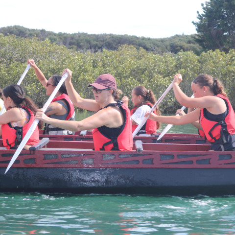 2026 T1 wk 06 marae noho