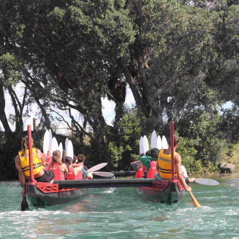 2026 T1 wk 06 marae noho